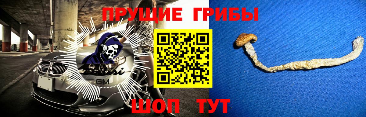 Псилоцибиновые грибы прущие грибы Озёры