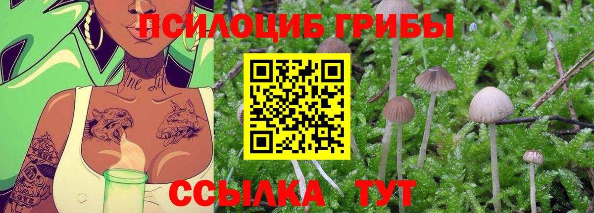 Галлюциногенные грибы Psilocybine cubensis  Псилоцибиновые грибы мухоморы  Озёры  Вход с VPN 